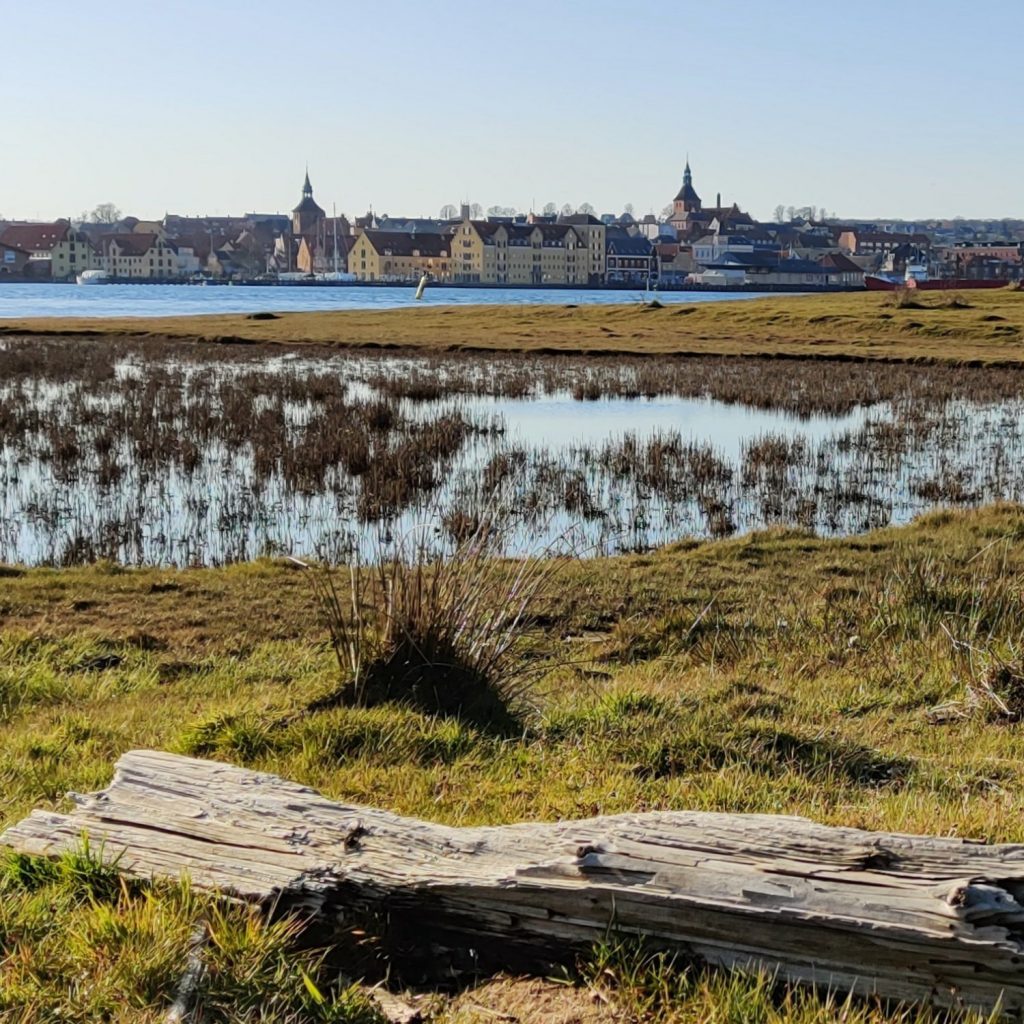 Natureventyr ved Svendborg