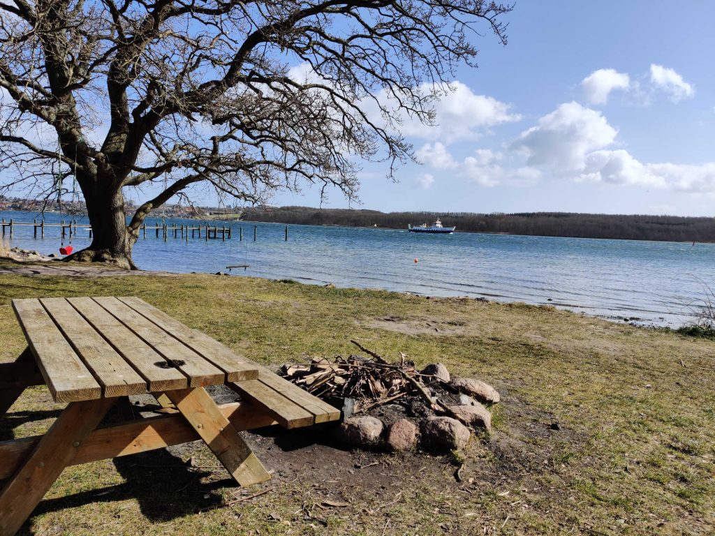 Picnic ved Lille Eng Svendborgsund