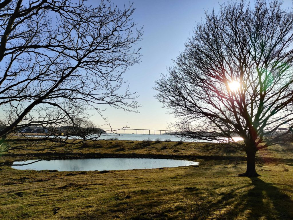 Skansen