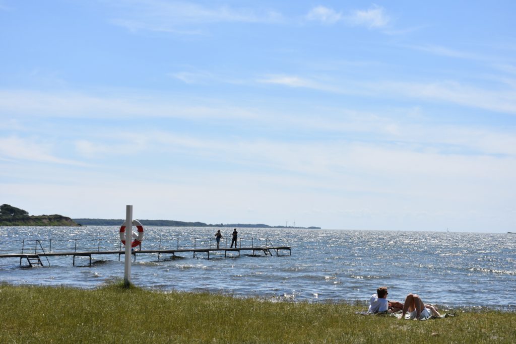 Ballen på Sydfyn