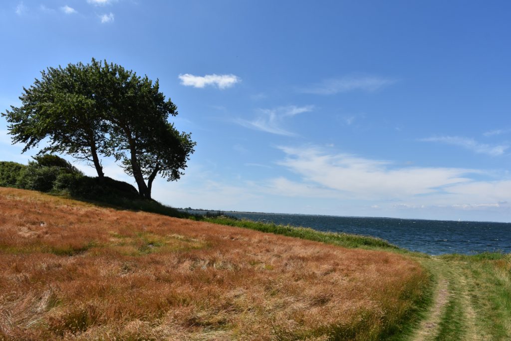 Sti ned til stranden på Sydfyn