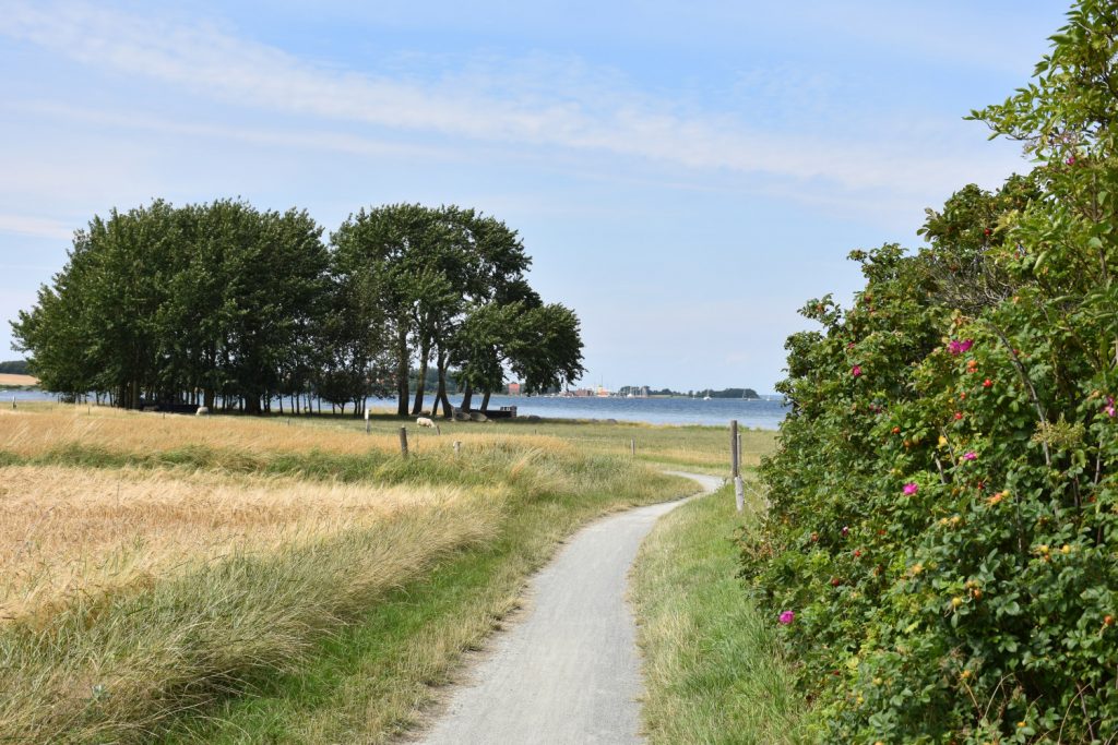 Nevrestien mellem Ærøskøbing og Kragnæs