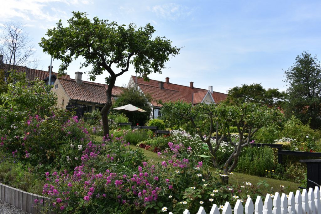 Have med stakit på Ærø