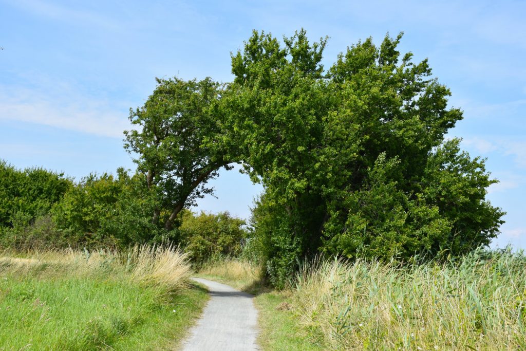 Ad Nevrestien på Ærø