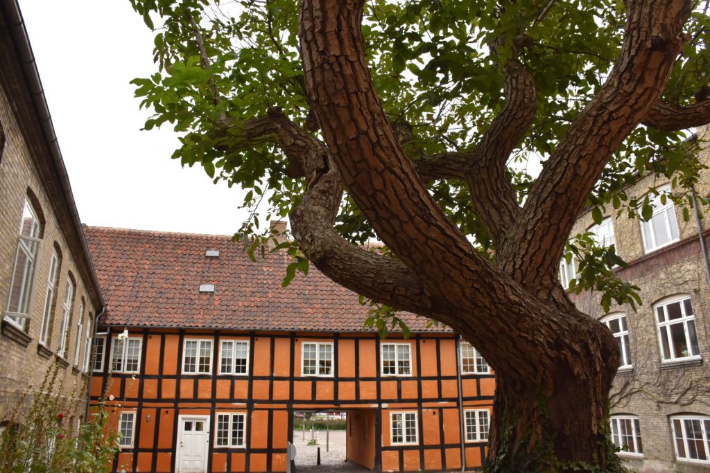 Faaborg Museum