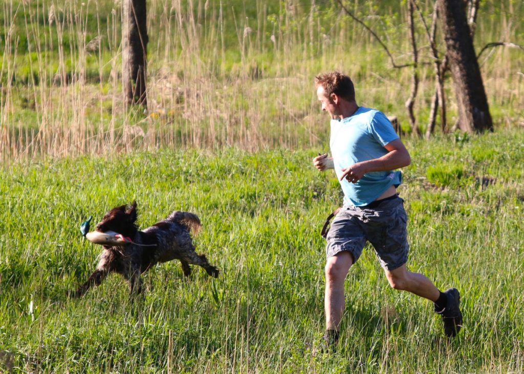 Hundetræning på Sydfyn