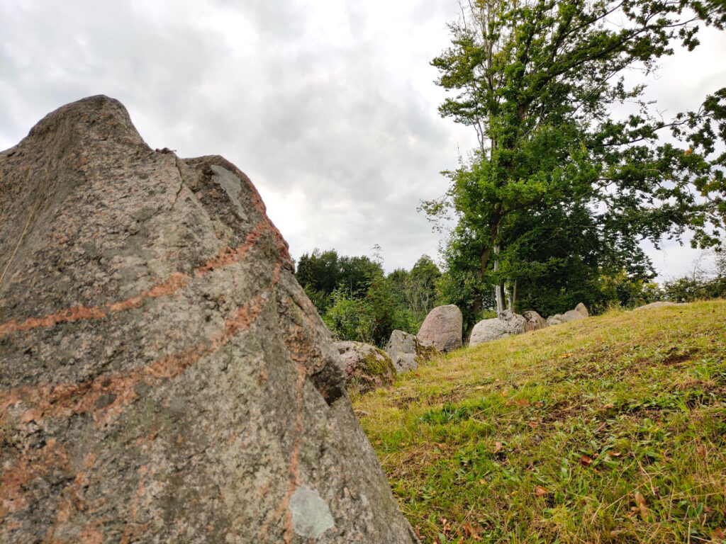 Langdysse i Pipstorn Skov