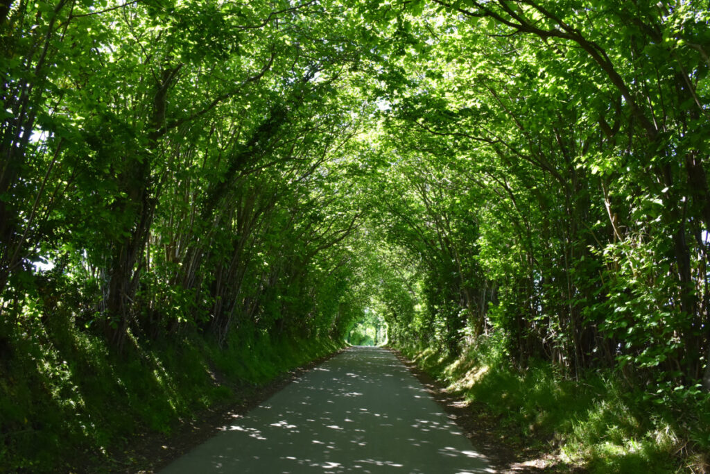 Tunnel på Langeland