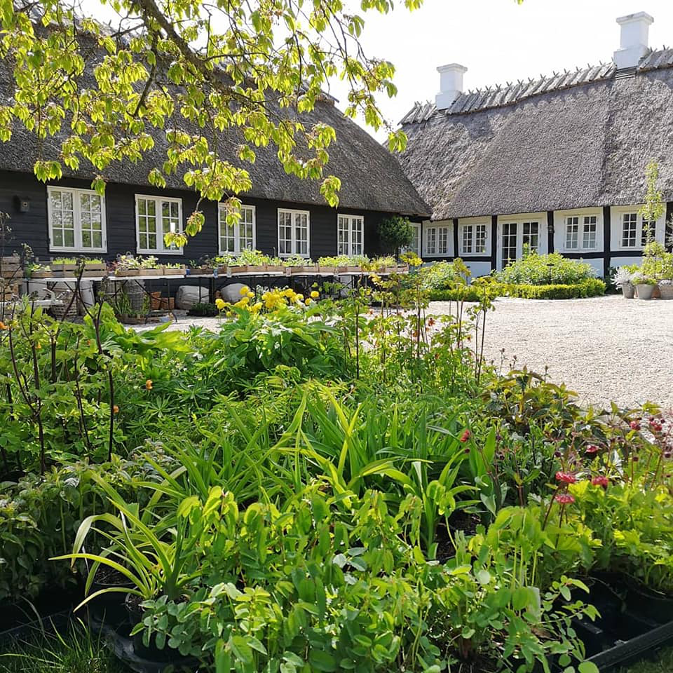 Troensehaven